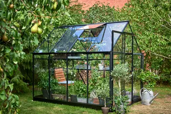 Halls Qube 6
