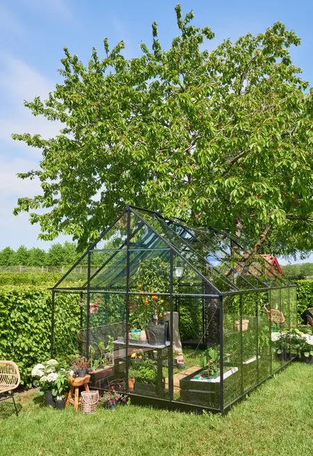 Halls Qube+ - 9,4 sort 3mm hærdet glas i hele baner