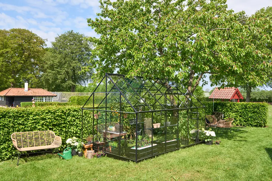 Halls Qube+ - 9,4 sort 3mm hærdet glas i hele baner
