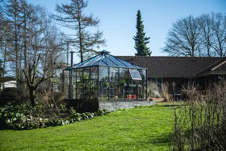 Juliana Oase