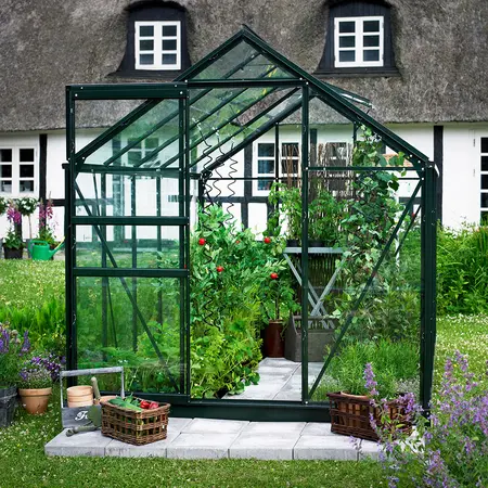Halls Popular 3,8 m² - Grün mit 3 mm Blankglas
