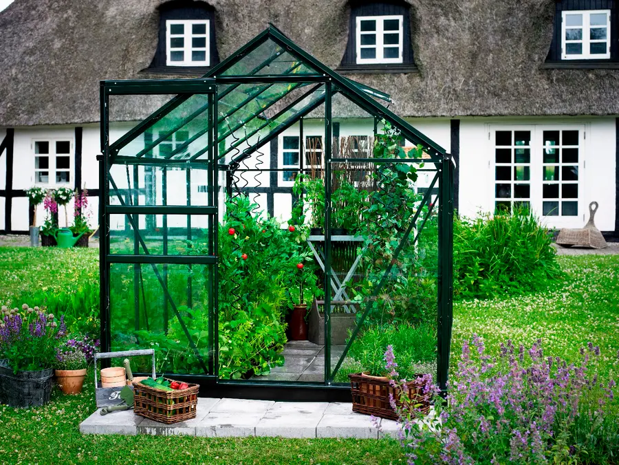 Halls Popular 6,2 m² - Grøn m/3 mm Glas