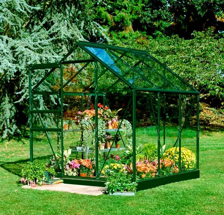 Halls Popular 3,8 m² - Grün mit 3 mm Sicherheitsglas