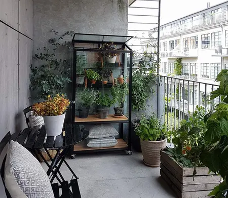 City Greenhouse