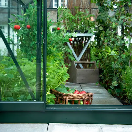 Halls Popular 3,8 m² - Grün mit 3 mm Blankglas